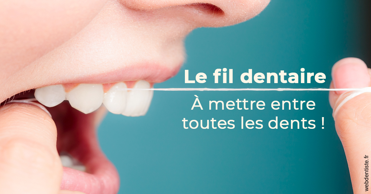 https://dr-roquette-guillaume.chirurgiens-dentistes.fr/Le fil dentaire 2