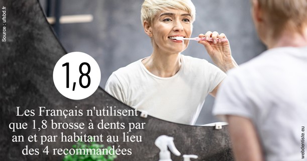 https://dr-roquette-guillaume.chirurgiens-dentistes.fr/Français brosses 2