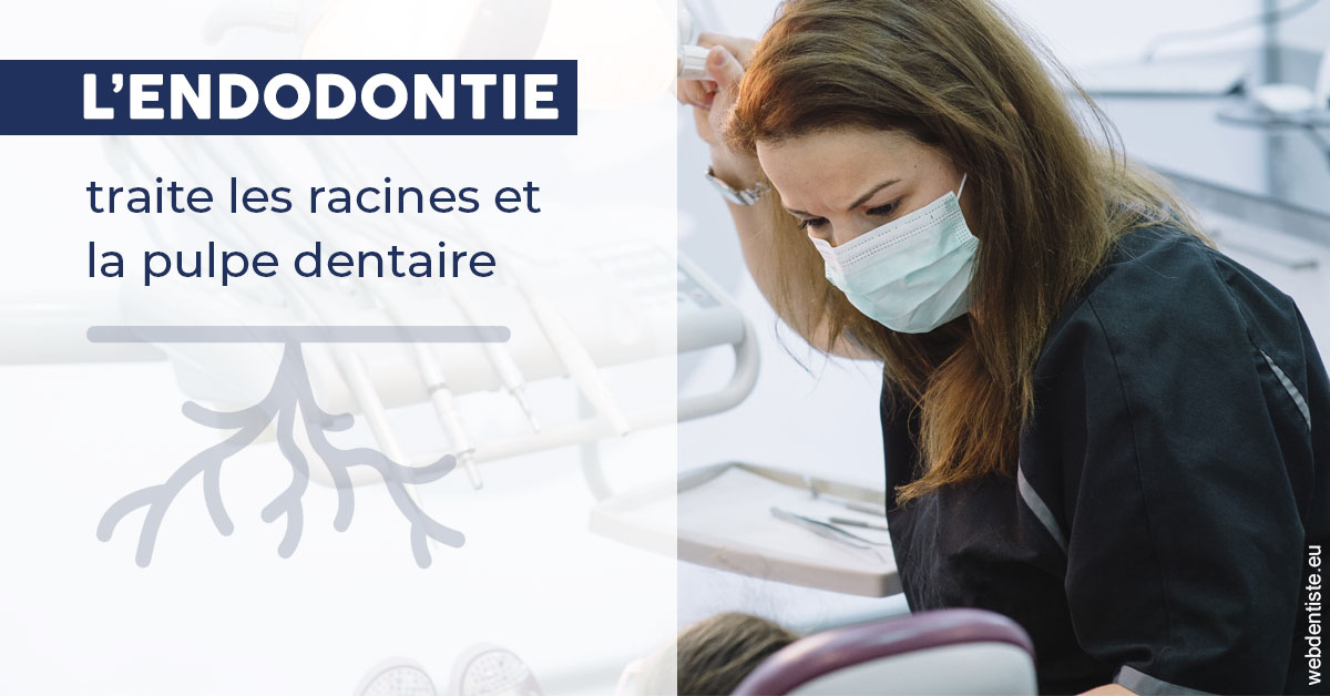 https://dr-roquette-guillaume.chirurgiens-dentistes.fr/L'endodontie 1