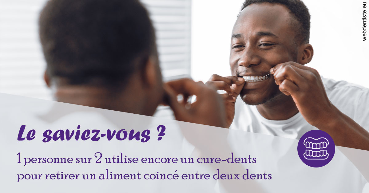 https://dr-roquette-guillaume.chirurgiens-dentistes.fr/Cure-dents 2