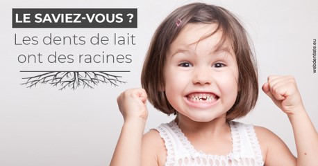 https://dr-roquette-guillaume.chirurgiens-dentistes.fr/Les dents de lait