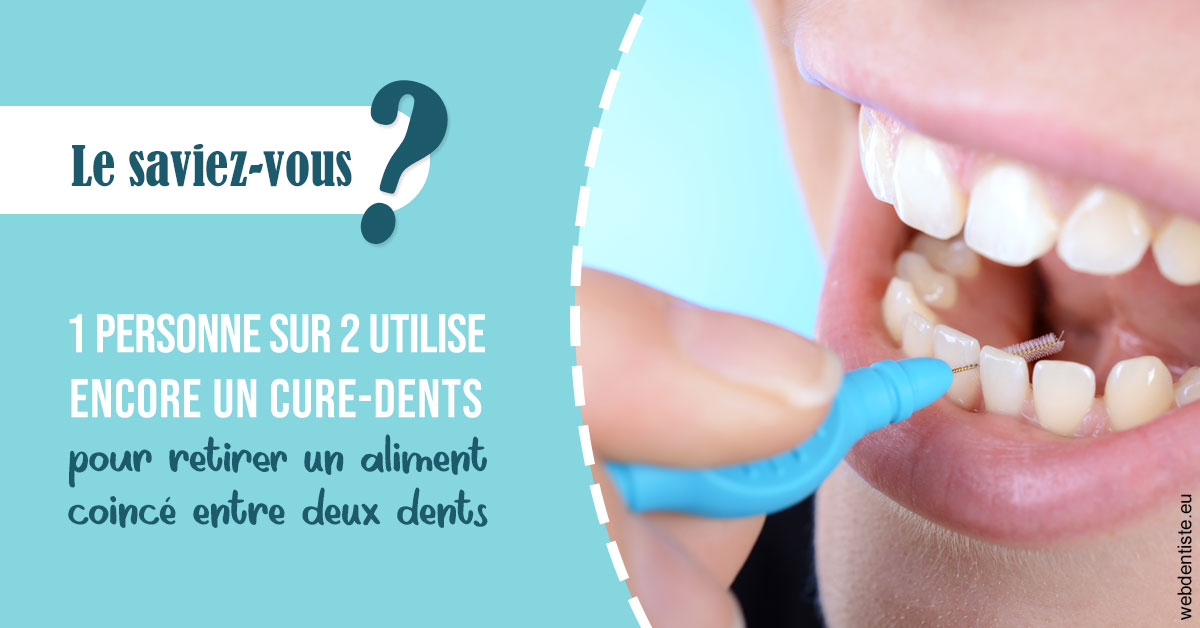 https://dr-roquette-guillaume.chirurgiens-dentistes.fr/Cure-dents 1