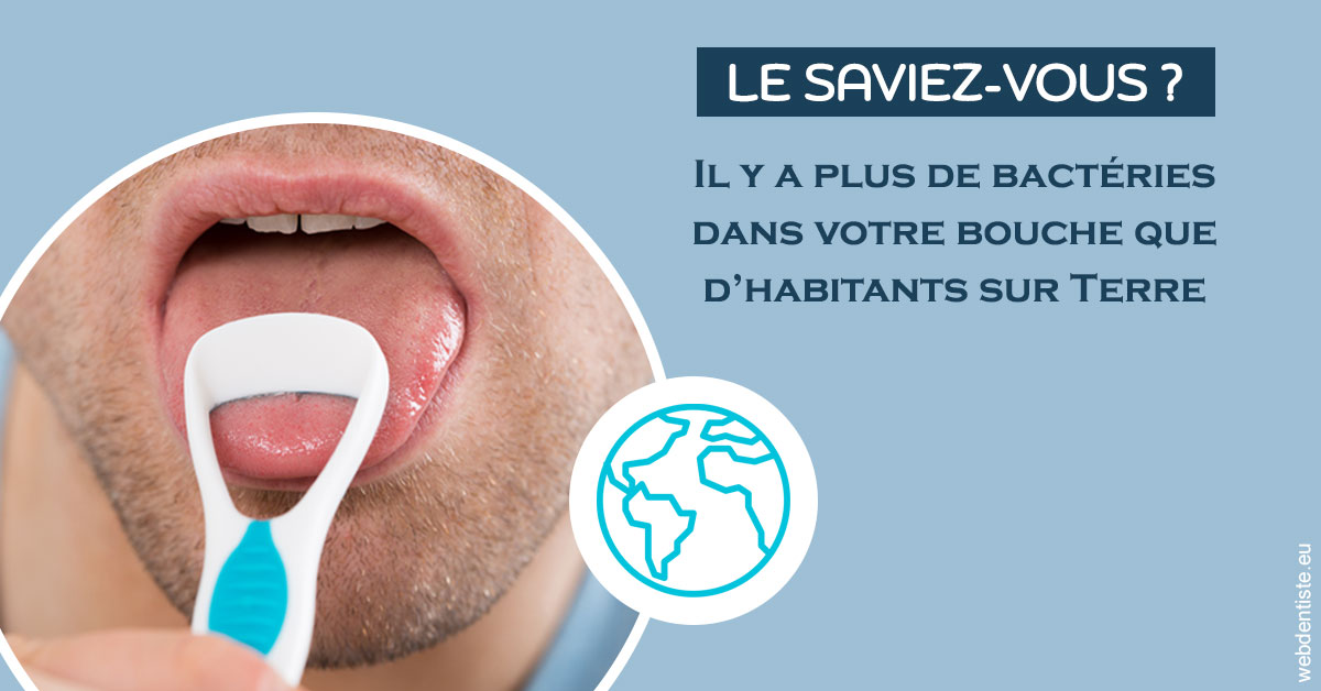 https://dr-roquette-guillaume.chirurgiens-dentistes.fr/Bactéries dans votre bouche 2
