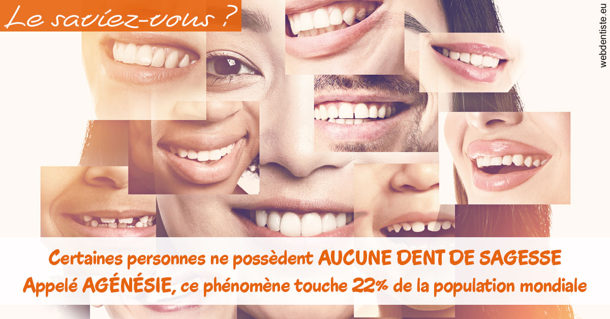 https://dr-roquette-guillaume.chirurgiens-dentistes.fr/Agénésie 2